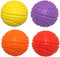 Dog Squeaky Toys, Non-Toxic Rubber Play Balls for Puppy Small Medium Dogs, Interactive Chew Toy, Pack of 4