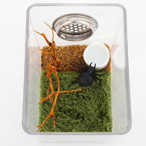 8 Pcs Mini Dish Water Bowl for Tarantula Spider, Scorpion, Cricket, Snail, Manti, Millipede, Tiny Bugs (White)