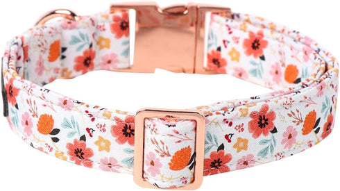 Lionet Paws Dog Collar, Adjustable Cute Collar with Metal Buckle for Male Female Puppies, Summer Flower (Medium, Neck