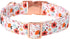 Lionet Paws Dog Collar, Adjustable Cute Collar with Metal Buckle for Male Female Puppies, Summer Flower (Medium, Neck