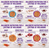 Wellness Natural Premium Canned Cat Wet Food, 12 Pack Variety Bundle (4 Flavors: Chicken, Beef, Salmon & Turkey) with