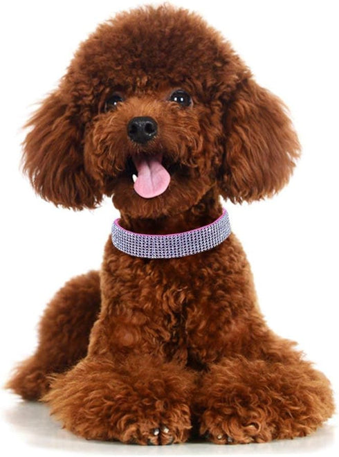 Rhinestone Dog Collar, Bling Rhinestone Suede Leather Crystal Diamond Collar for Small Pets (Black, M)