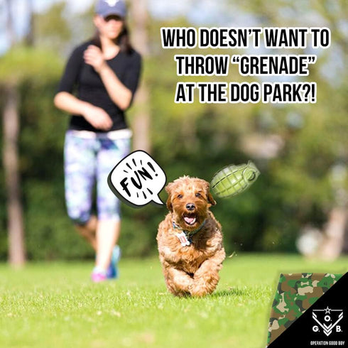 Operation Good Boy Durable Grenade Dog Toy, Patriotic Military Inspired Chew Toy for Teething and Interactive Play