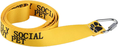 Selectively Social Do Not Pet Funny Dog Leash, Training Walking Leashes for Dog Owners, Pet Lover Gift (YE)