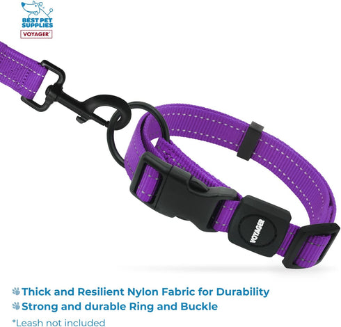 Best Pet Supplies Reflective Dog Collar - Adjustable Length, Heavy-Duty Buckle, D-Ring for Training, Walking, Jogging -