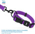 Best Pet Supplies Reflective Dog Collar - Adjustable Length, Heavy-Duty Buckle, D-Ring for Training, Walking, Jogging -