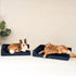 EHEYCIGA XL Memory Foam Dog Bed, Orthopedic Waterproof Egg Crate Couch Bed, Washable Cover, Navy