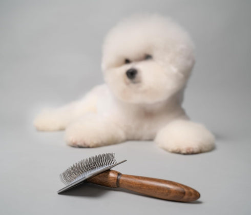 Classic Wooden Brush L | Premium Grooming Brush with Metal Rim | Curved Stainless Steel Teeth | 1x Wooden Grooming