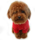 Lovelonglong Red Lightweight Dog Pajamas, Pure Cotton 4 Legs Jumpsuits T-Shirt PJS for Large Medium Small Dogs XS