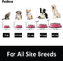 Stainless Steel Dog Bowls | Food and Water Non-Slip Anti-Skid Stackable Dishes for Small, Medium, Large Dogs (2 Pack)