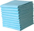 BATHVEVE 10Pcs Disposable Pet Pads Incontinence Pads for Elders Changing Mats Absorbent Multi
