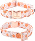 Lionheart Glory Premium Dog Collars, Adjustable Heavy Duty Bowtie Dog Collar for Medium Dogs, Halloween Design
