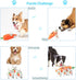 IFOYO Plush Squeak Dog Toys, Stuffed Dog Plush Toy Easter Gift for Medium Small Dogs, Interactive Durable Squeak Toy,