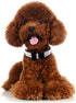 Rhinestone Dog Collar, Soft Suede Leather Adjustable Pet Collar with Crystal Diamond for Puppy Small Medium Large Dogs