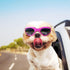 Dog Goggles Sunglasses for Large & Middle Dogs, UV Protective Foldable Eyewear, Adjustable Waterproof (Pink)