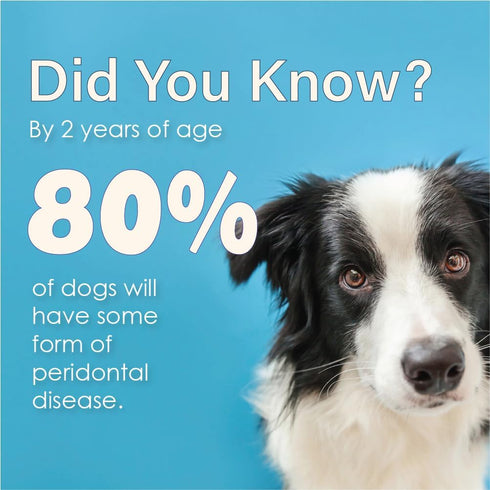 3 oz Advanced Enzymatic Toothpaste for Dogs, Peanut Butter Flavor Dog Toothpaste, Helps Clean Teeth & Freshen Breath
