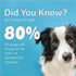 3 oz Advanced Enzymatic Toothpaste for Dogs, Peanut Butter Flavor Dog Toothpaste, Helps Clean Teeth & Freshen Breath