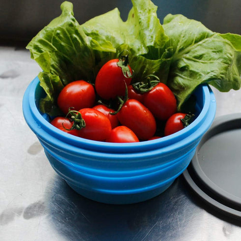 Mr. Peanut's Collapsible Silicone Camping Bowl with Lid & Foldable Fork for Outdoor Use