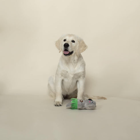 Fringe Studio Plush Dog Toy, Shake Your Palm Palms (289876)