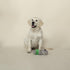 Fringe Studio Plush Dog Toy, Shake Your Palm Palms (289876)