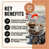 Immune 60 Fido's Longevity Bone Broth for Dogs - Turkey Tail + Maitake Mushroom - Grass-Fed Beef Bone Broth Powder