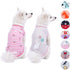 Blueberry Pet Pack of 2 Soft & Comfy Wonderland Striped Dog T Shirts - Back Length 12"
