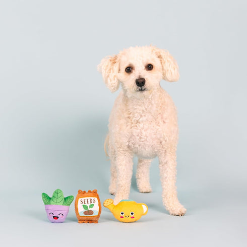 Fringe Studio Plush Dog Toy Set, Just Add Water, Small 3 Piece Set, Pet Shop Collection