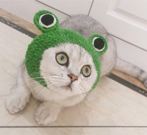 Pet Hat - Handmade Knitted Woolen Yarn Cap for Dog Cat Puppy Teddy Cartoon Frog Grooming Accessories, Green, M