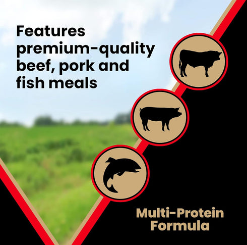 Victor Super Premium Grain Free Dog Food – Active Dog & Puppy, 33% Protein, Gluten Free, 15lbs