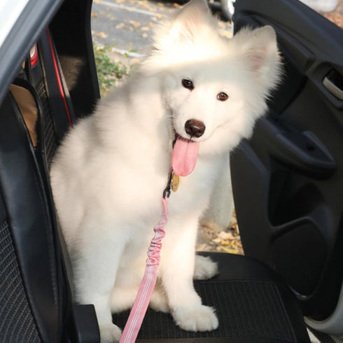 Benjiuun 2 1 19-32in(Pink) Dog Seat Belt for Car Adjustable Dog Safety Belt Leash, in Latch Bar Attachment Dog Car