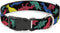 Buckle-Down Plastic Clip Collar - Dinosaurs Black/Multi Color, 1" Wide, Fits 15-26" Neck, Large