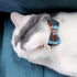 Joytale Upgraded Cat Collar with Bow Tie, Breakaway Collars with Bells, 2 Pack Safety Plaid Kitten Collars, Haze