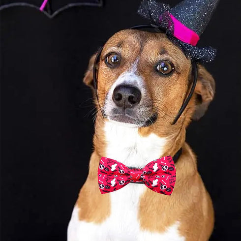 PET SHOW 10pcs Halloween Small Dog Bow Ties for Medium Dogs, Detachable Bowties with Elastic Bands