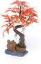 Penn-PLAX Deco-Replicas Bonsai Tree Aquarium Decoration – Orange – 8” Height, Safe for Freshwater and Saltwater Fish