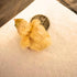 (24, Undique Button Quail Eggs for Hatching - Chinese and King Button Quail, Silver, Dark V, hens Choice Mix Button)