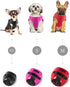 Comfort Fit Dog Harness, No Pull No Escape, Adjustable Buckles, Soft Padded Reflective Vest for Dogs