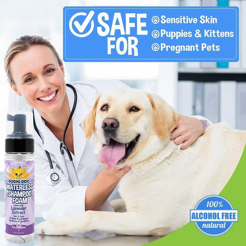 Bodhi Dog Waterless Foaming Shampoo, Natural Pet Shampoo for Dogs & Cats, No Rinse Required (Lavender, 8oz)