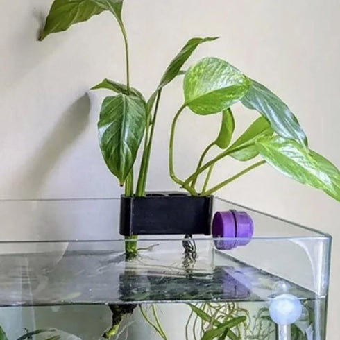 lasenersm 1 Piece Aquarium Plant Hanger Hanging Aquarium Plant Holder Aquarium Emerging Plant Holder Aquarium Hanging