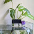 lasenersm 1 Piece Aquarium Plant Hanger Hanging Aquarium Plant Holder Aquarium Emerging Plant Holder Aquarium Hanging