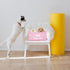 Dog Toy Basket, Storage Bins with Handle, Foldable Square Dog Toy Box for Pet Toys and Blankets