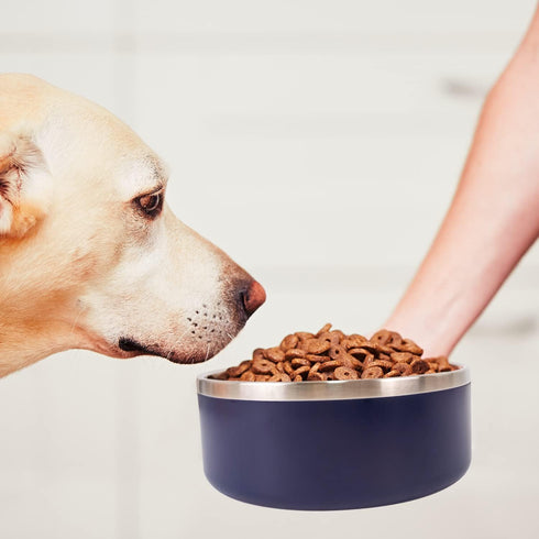 40 Oz Stainless Steel Dog Bowl for Food and Water, Durable Non-Skid Double Wall Insulated, Heavy Duty, Blue