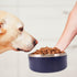 40 Oz Stainless Steel Dog Bowl for Food and Water, Durable Non-Skid Double Wall Insulated, Heavy Duty, Blue