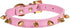 LOVPE One Row Golden Spiked Studded Leather Dog Collar - Cat Collar with Golden Rhinestone Buckle for Small Pets (Pink,