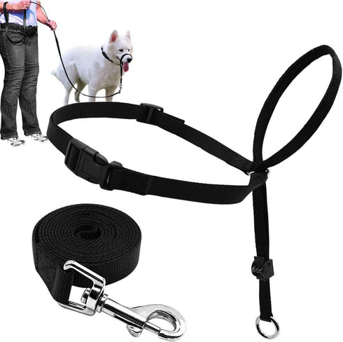 BARKLESS Dog Head Collar, Adjustable and Padded, No-Pull Training Tool with 1 Dog Leash and Training Guide