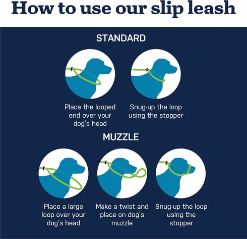 Mad Dog Products English Slip Dog Lead, 3/8 Inch x 4 Feet, Teal