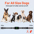 Dog Training Collar with Remote, 3300ft Range Waterproof Rechargeable Electric Collar for Small Medium Large Dogs