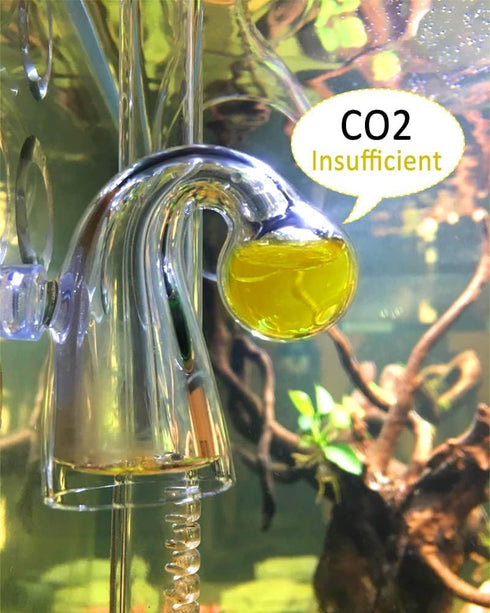 Glass Drop Checker Kit, 15ml Co2 Checker Solution for Monitoring Planted Tank CO2 Levels