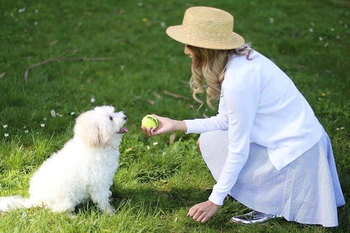 PetSport Yellow Tennis Ball Dog Toys, 24 Pack Medium (2.5") Non-Toxic Felt & Rubber Tuff Balls