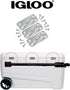 Igloo Cooler Heavy Duty Stainless Steel Hinges for Ice Chests (Set of 3)