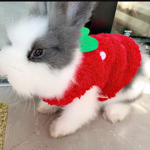 ANIAC Bunny Clothes for Rabbits - Warm Kitten Vest Fleece XXXS Dog Shirt for Small Animals (3S)